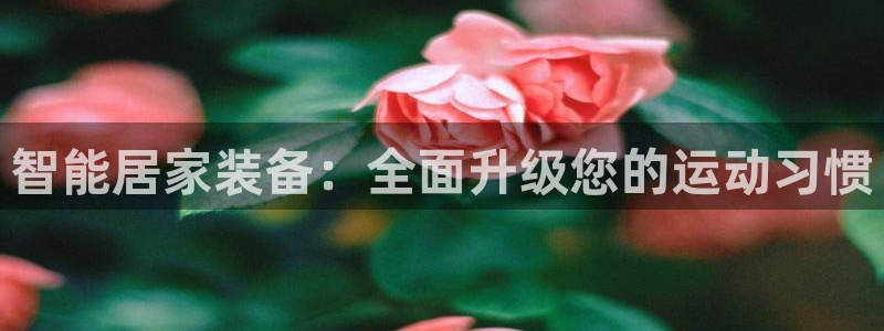 意昂平台体育：智能居家装备：全面升级您的运动习惯