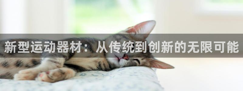 凯捷体育集团简介：新型运动器材：从传统到创新的无限可