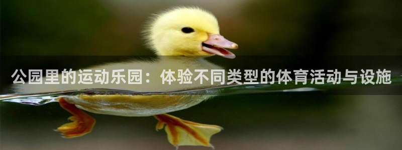 凯捷体育娱乐首页网站大全：公园里的运动乐园：体验不同