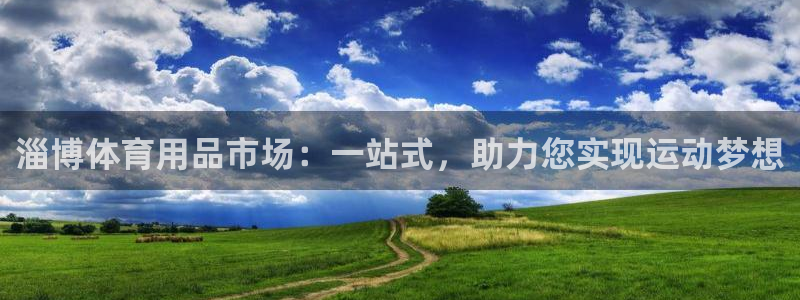 凯捷体育集团E.ON：淄博体育用品市场：一站式，助力您实现运
