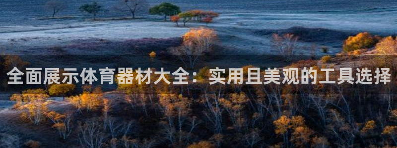 凯捷体育招商电话号码是多少：全面展示体育器材大全：实
