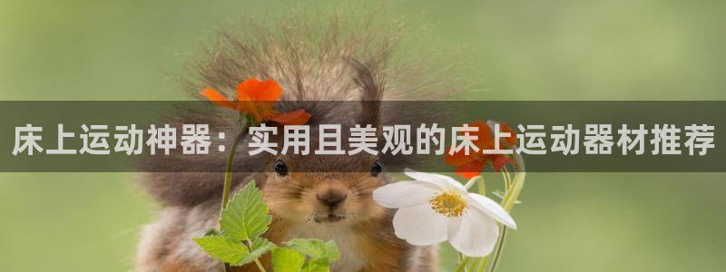 凯捷体育平台注册流程视频：床上运动神器：实用且美观的床上运动