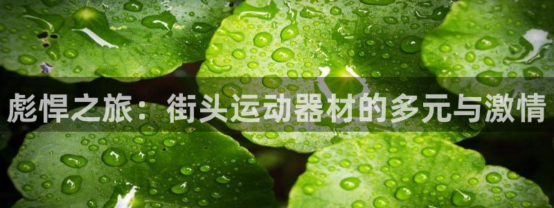 凯捷体育平台：彪悍之旅：街头运动器材的多元与激情