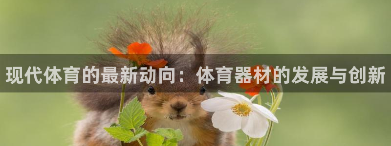 凯捷体育新能源