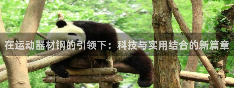 凯捷体育娱乐首页官网下载：在运动器材钢的引领下：科技与实用结