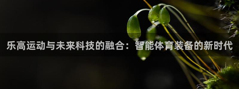 凯捷体育娱乐：乐高运动与未来科技的融合：智能体育装备的新时代