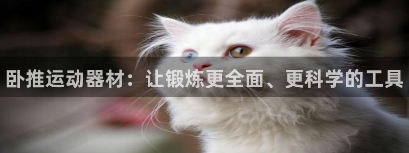 凯捷体育娱乐40996