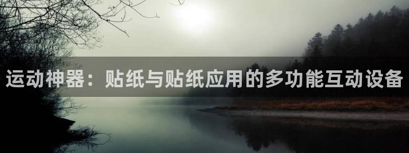 德国凯捷体育集团：运动神器：贴纸与贴纸应用的多功能互
