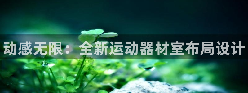 凯捷体育平台假的吗是真的吗：动感无限：全新运动器材室