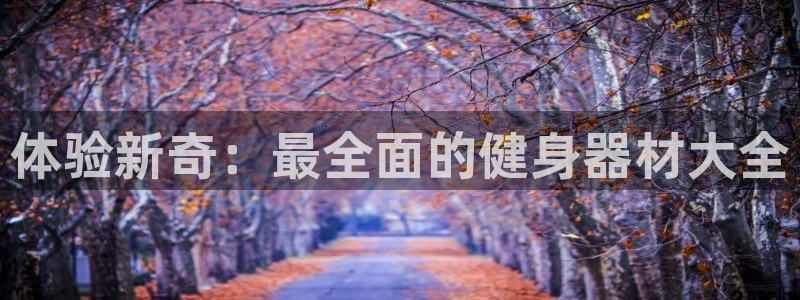 凯捷体育联系电话：体验新奇：最全面的健身器材大全