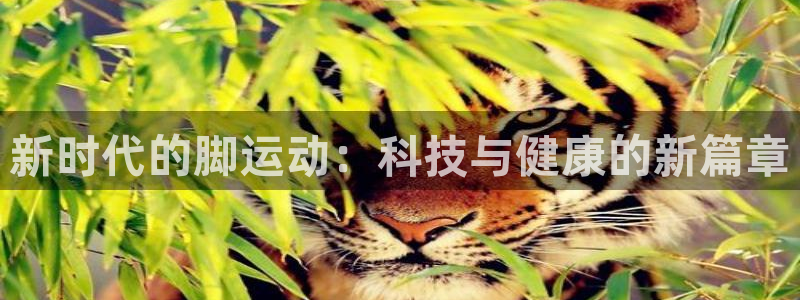 凯捷体育平台注册要钱吗：新时代的脚运动：科技与健康的