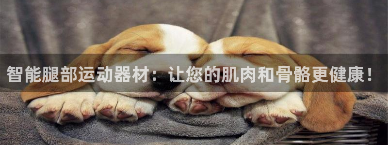 凯捷体育娱乐首页网站大全：智能腿部运动器材：让您的肌