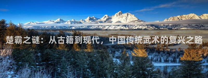 凯捷体育注册：楚霸之谜：从古籍到现代，中国传统武术的