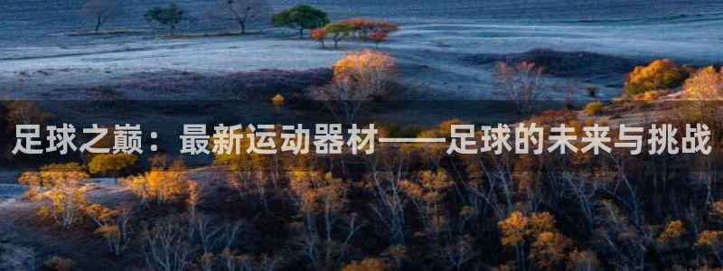 凯捷体育平台假的吗是真的吗吗：足球之巅：最新运动器材