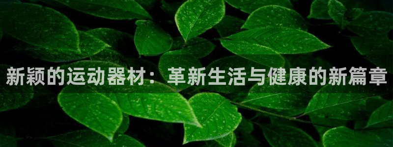意昂集团官网：新颖的运动器材：革新生活与健康的新篇章