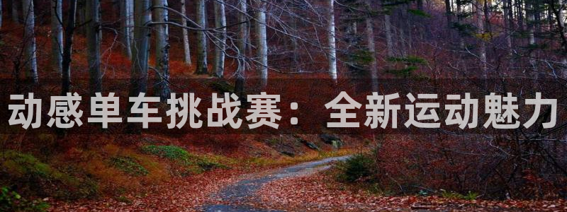 凯捷体育招商电话地址：动感单车挑战赛：全新运动魅力