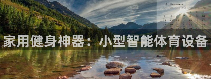 凯捷体育集团E.ON：家用健身神器：小型智能体育设备