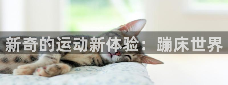 凯捷体育招商电话号码是多少啊