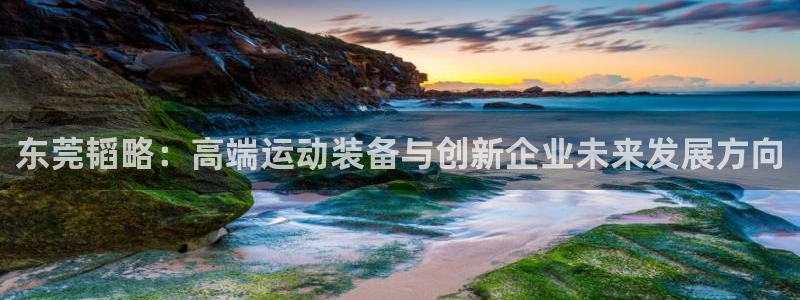 凯捷体育平台APP：东莞韬略：高端运动装备与创新企业