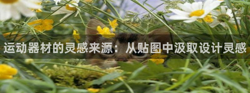 凯捷体育招商电话是多少号码：运动器材的灵感来源：从贴