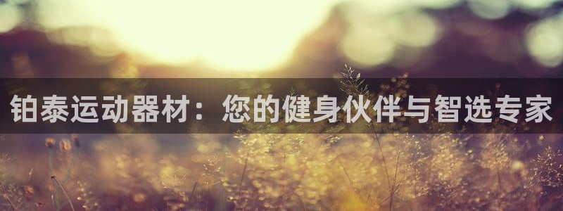 凯捷体育娱乐：铂泰运动器材：您的健身伙伴与智选专家