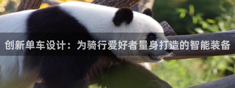 凯捷体育集团简介：创新单车设计：为骑行爱好者量身打造