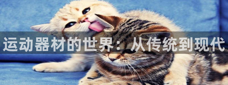 凯捷体育软件