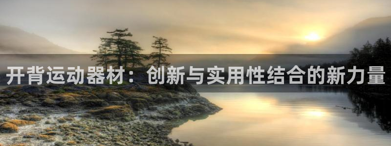 凯捷体育娱乐是那个系列的台子：开背运动器材：创新与实用性结合