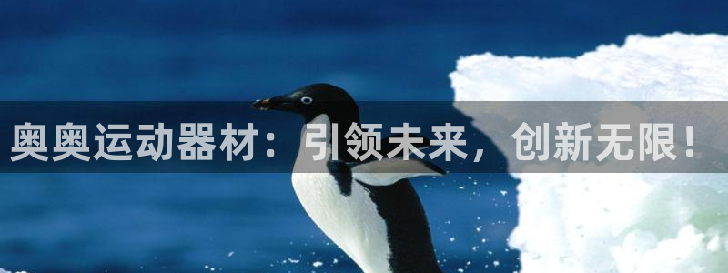 凯捷体育注册：奥奥运动器材：引领未来，创新无限！