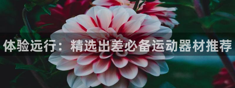 意昂平台体育：体验远行：精选出差必备运动器材推荐