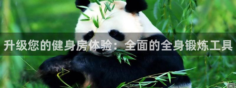 凯捷体育