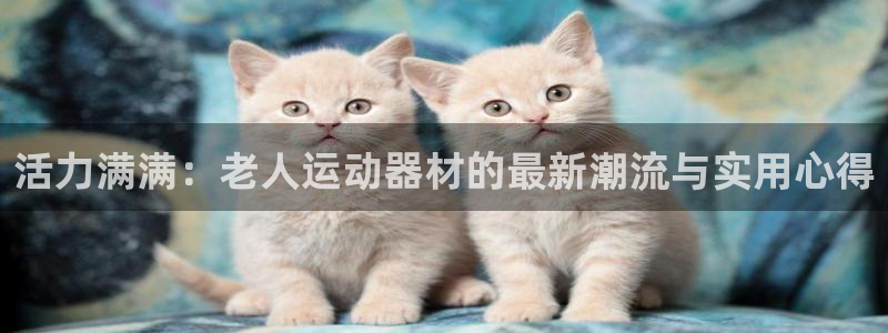 凯捷体育娱乐下载：活力满满：老人运动器材的最新潮流与实用心得