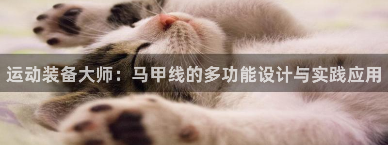 凯捷体育开户：运动装备大师：马甲线的多功能设计与实践应用