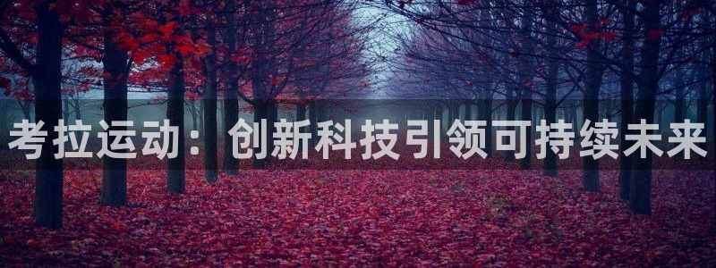 凯捷体育招商电话号码是多少：考拉运动：创新科技引领可