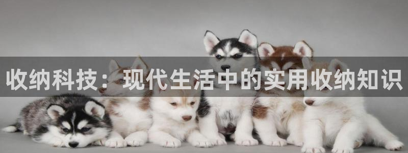 凯捷体育娱乐代理怎么样