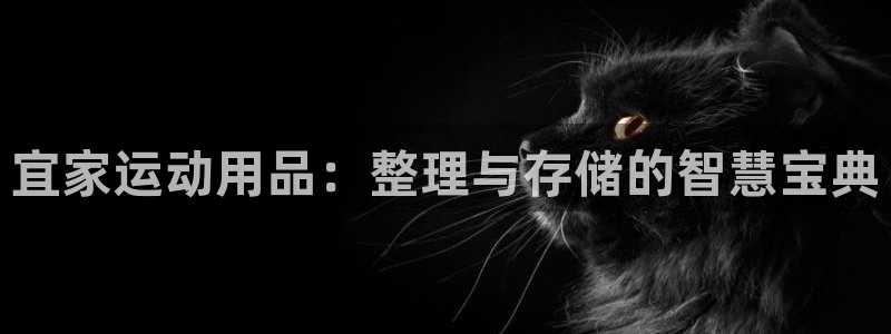 凯捷体育招商电话号码：宜家运动用品：整理与存储的智慧宝典