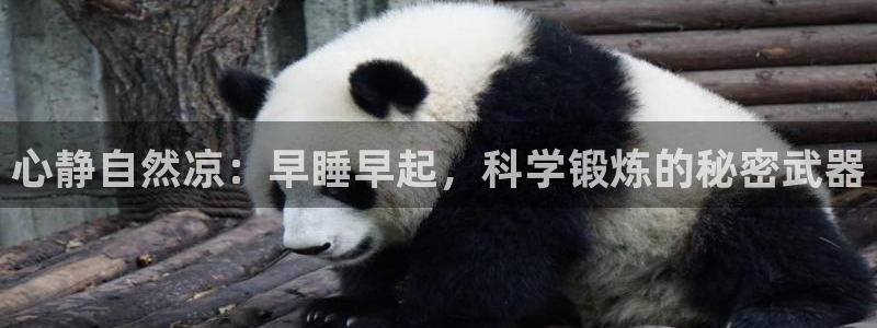 凯捷体育娱乐：心静自然凉：早睡早起，科学锻炼的秘密武