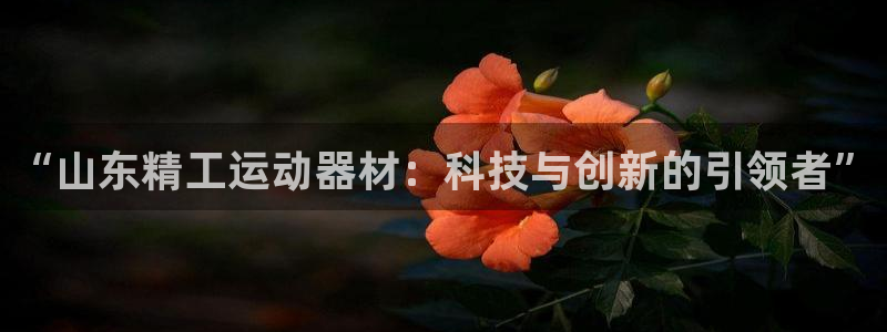 凯捷体育平台：“山东精工运动器材：科技与创新的引领者