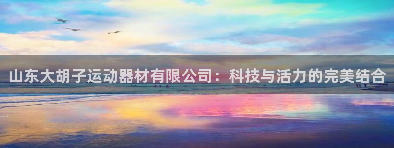 凯捷体育是干嘛的公司：山东大胡子运动器材有限公司：科
