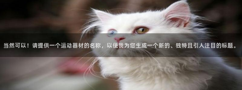 凯捷体育招商电话号码是多少号：当然可以！请提供一个运动器材的