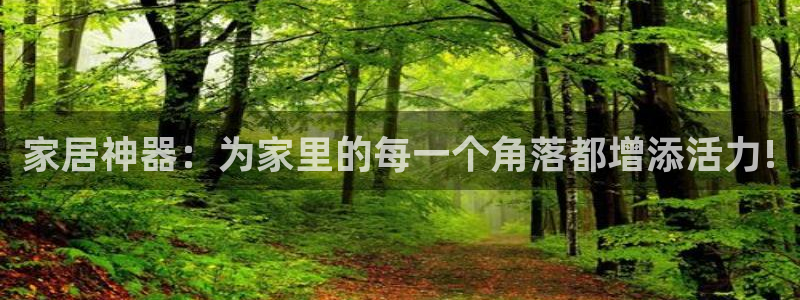 凯捷体育集团E.ON：家居神器：为家里的每一个角落都