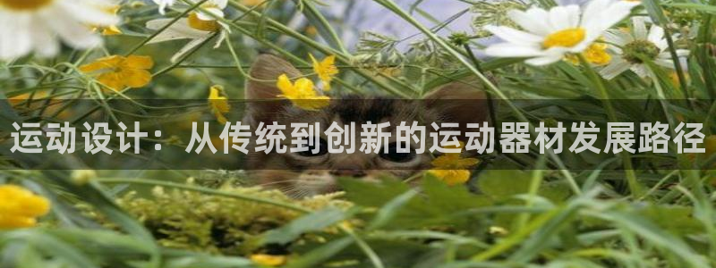 凯捷体育平台注册要钱吗是真的吗：运动设计：从传统到创