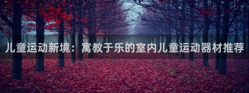 凯捷体育平台是正规平台吗安全吗：儿童运动新境：寓教于