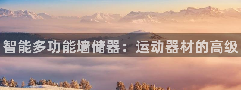 凯捷体育娱乐首页官网下载：智能多功能墙储器：运动器材