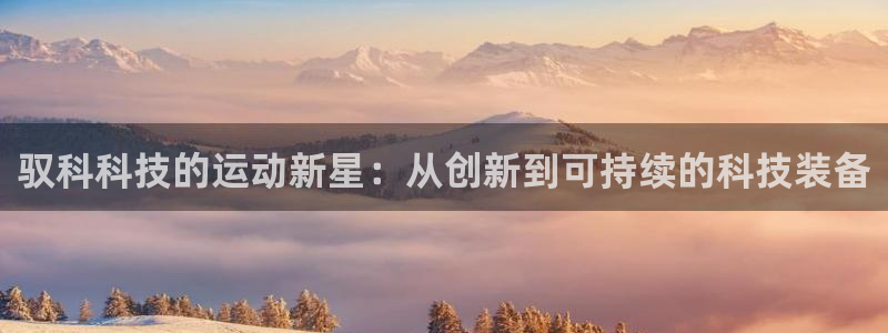 凯捷体育集团logo