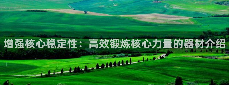 凯捷体育官方客服电话：增强核心稳定性：高效锻炼核心力量的器材